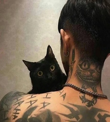 允