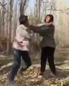 33591.com的欧美视频