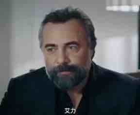 欧美视频