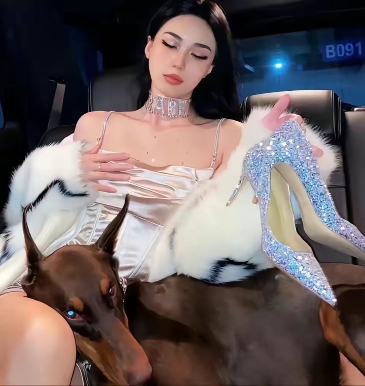 我的图片