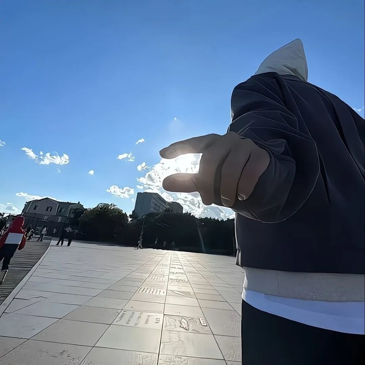pipo