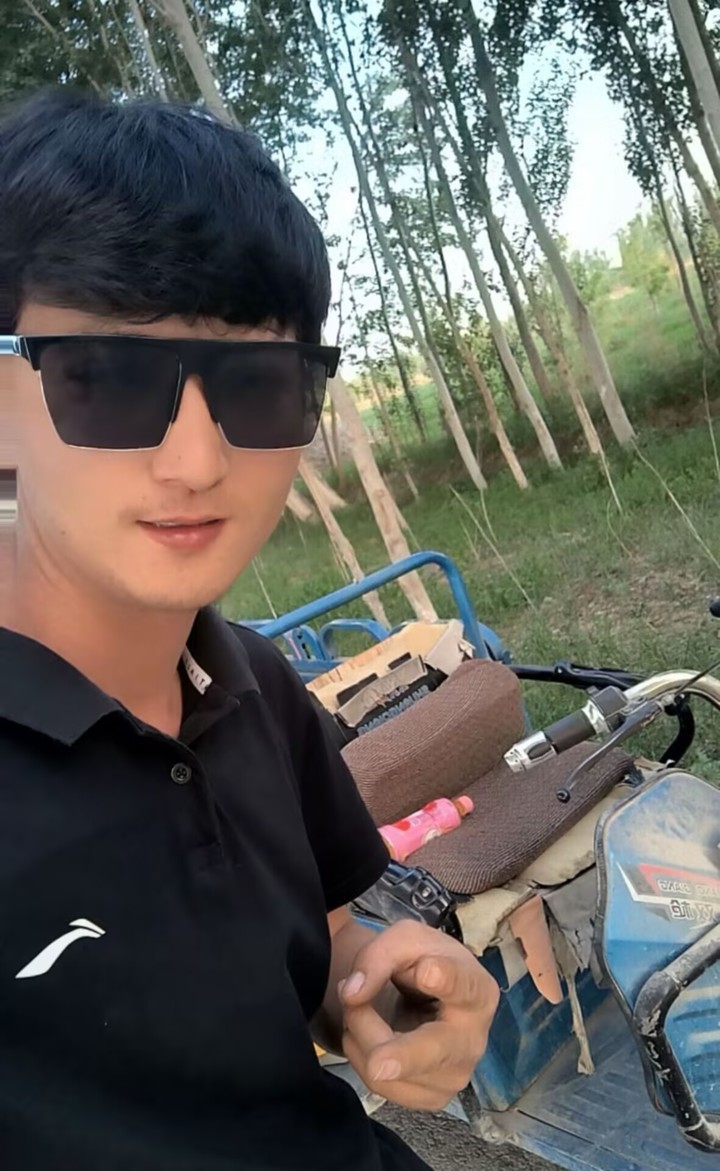我的图片
