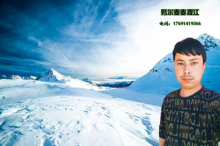 我的图片