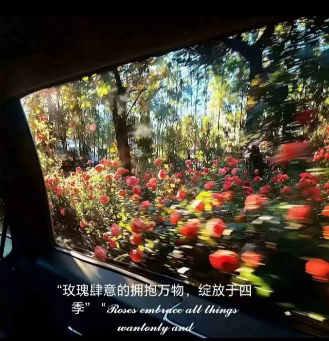 风景图片