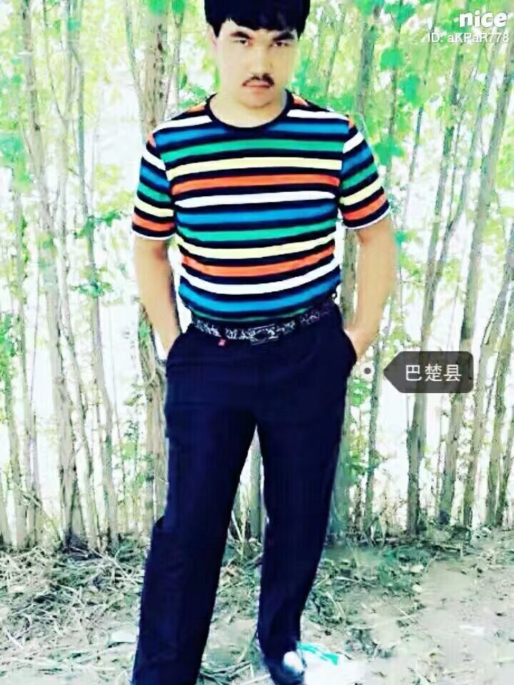 我的图片